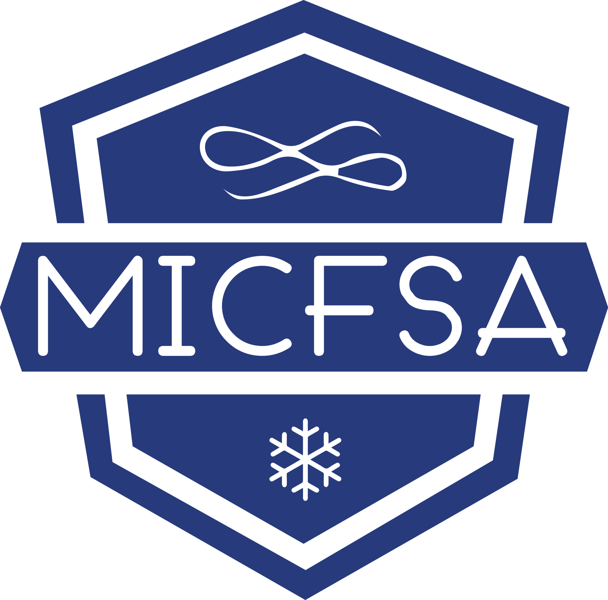 MICFSA